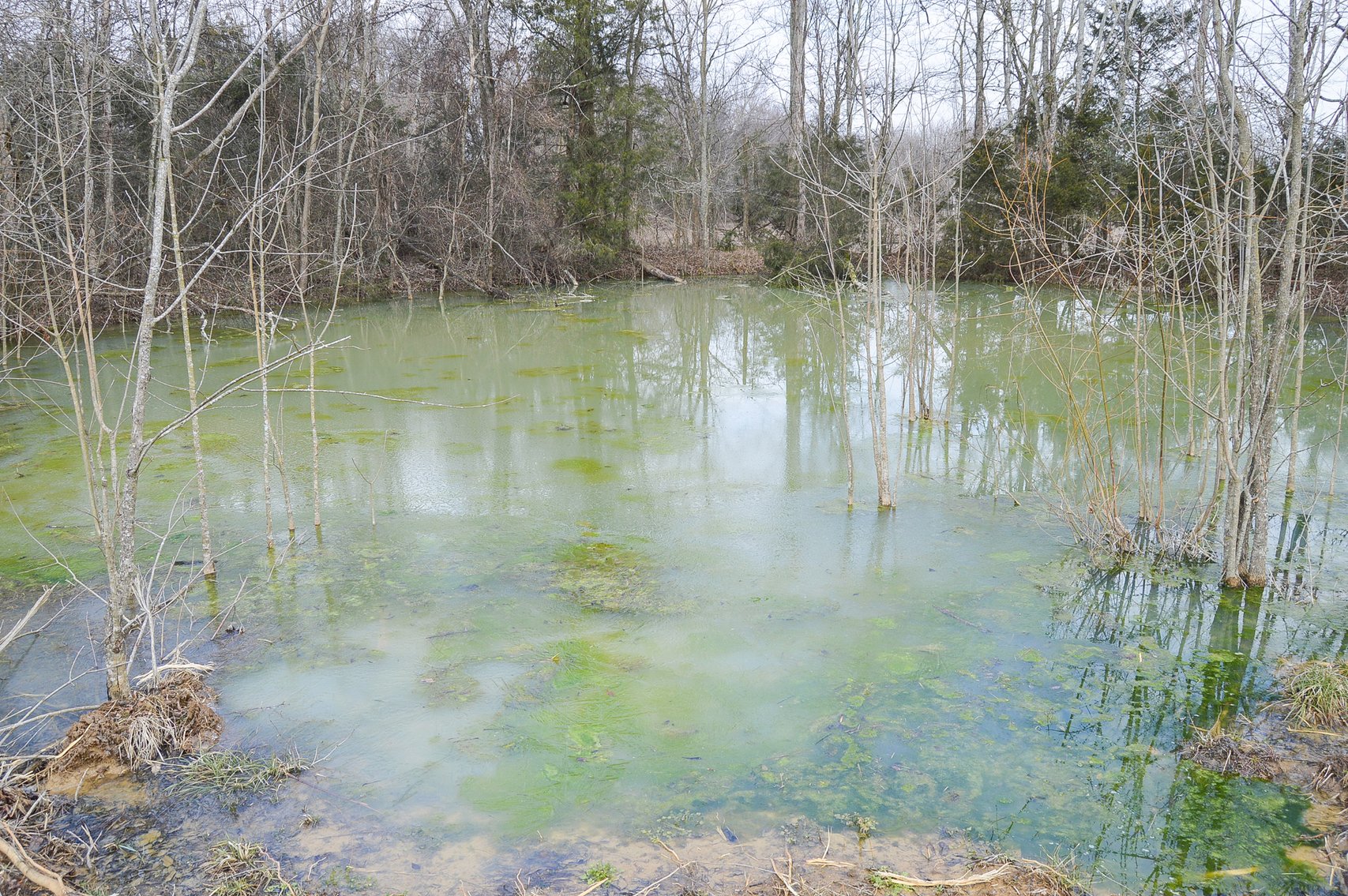 Image for 447 Pepper Hill Road, Bell Buckle