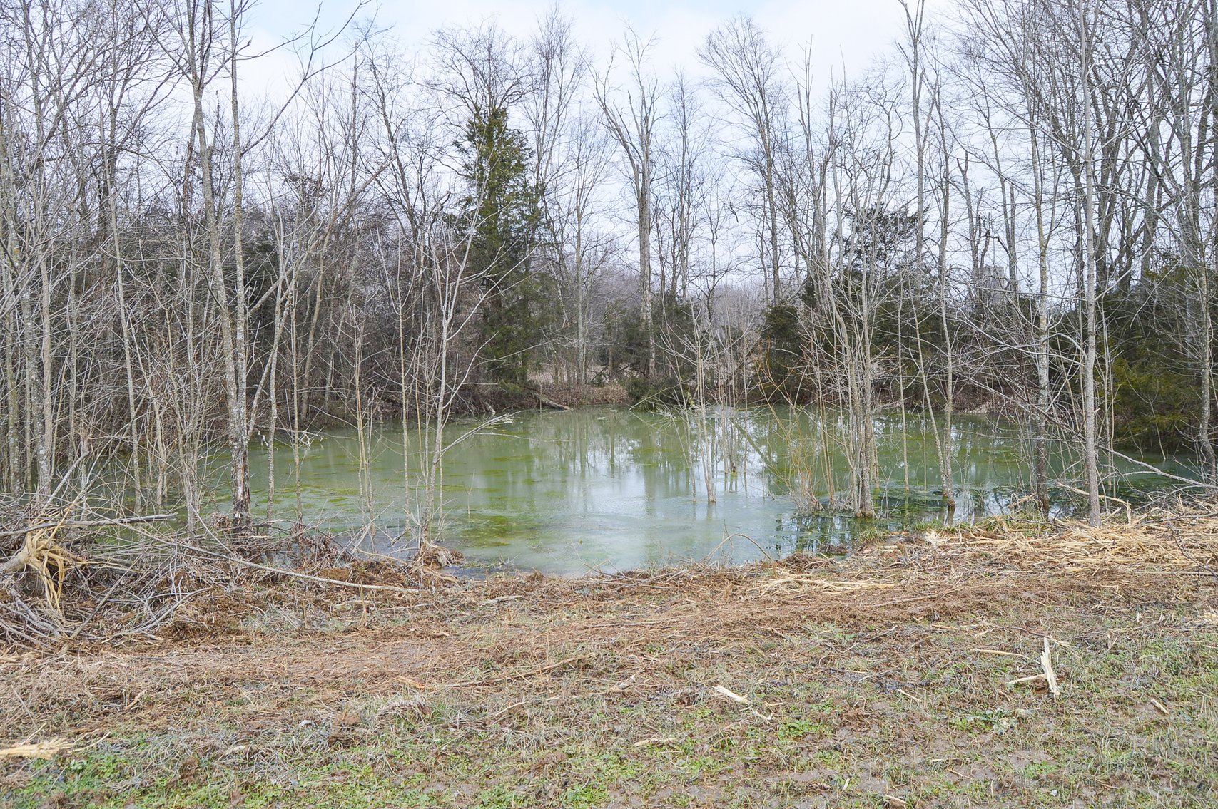 Image for 447 Pepper Hill Road, Bell Buckle