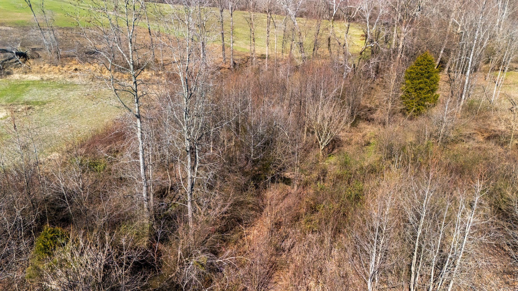 Image for 2036 Old McMinnville Highway, Woodbury