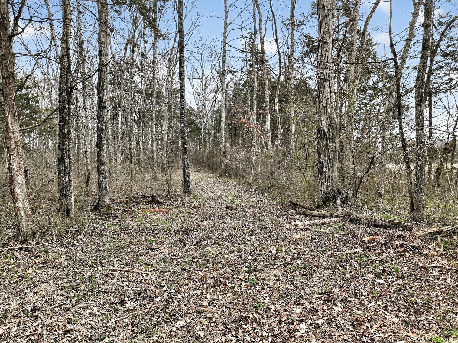 Image for 181 Sims Spring Road, Lewisburg