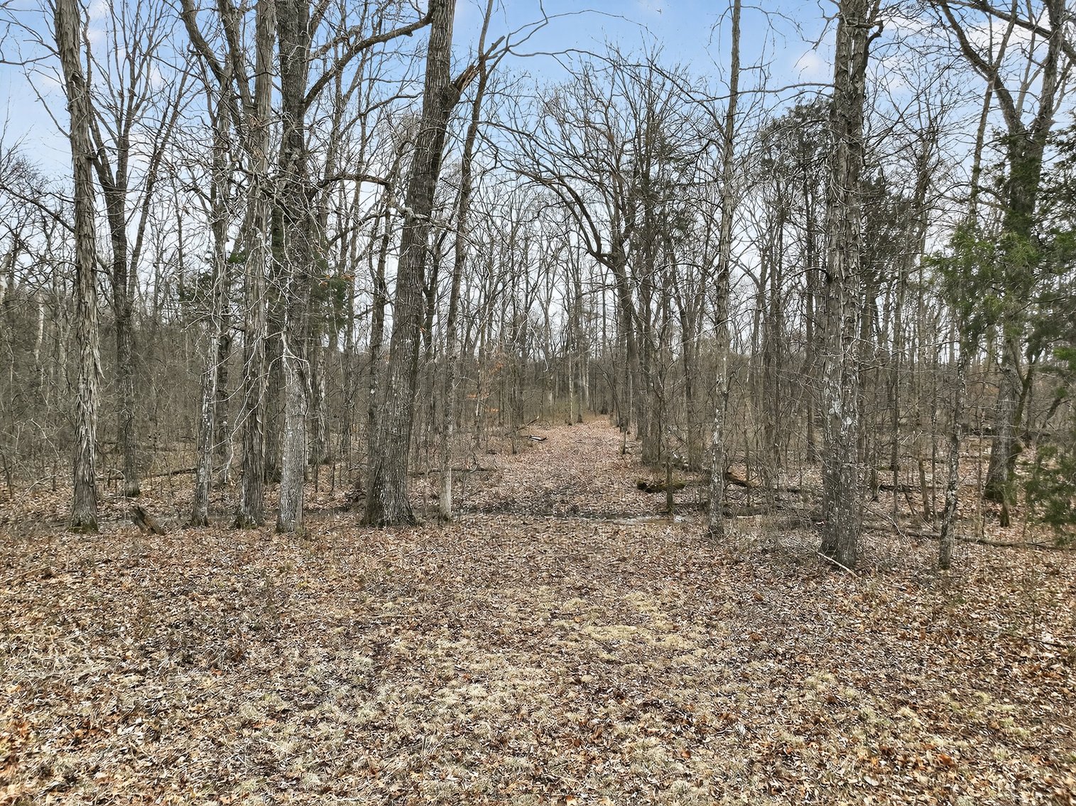 Image for 181 Sims Spring Road, Lewisburg