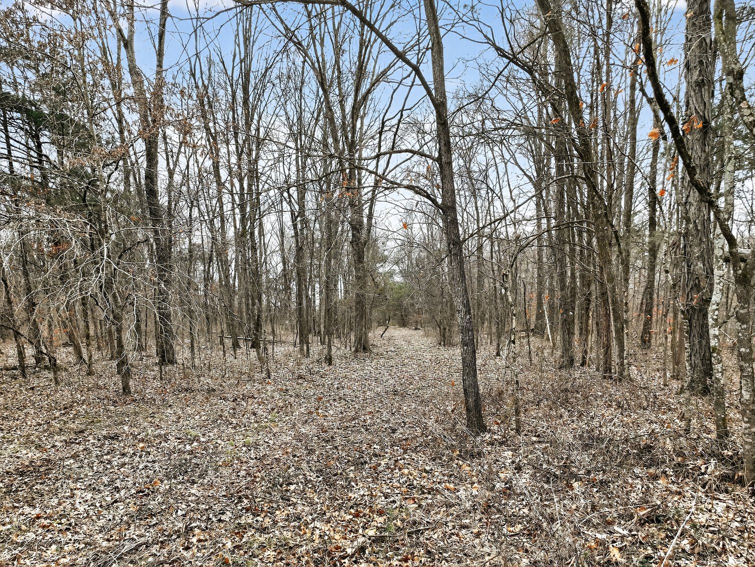 Image for 181 Sims Spring Road, Lewisburg