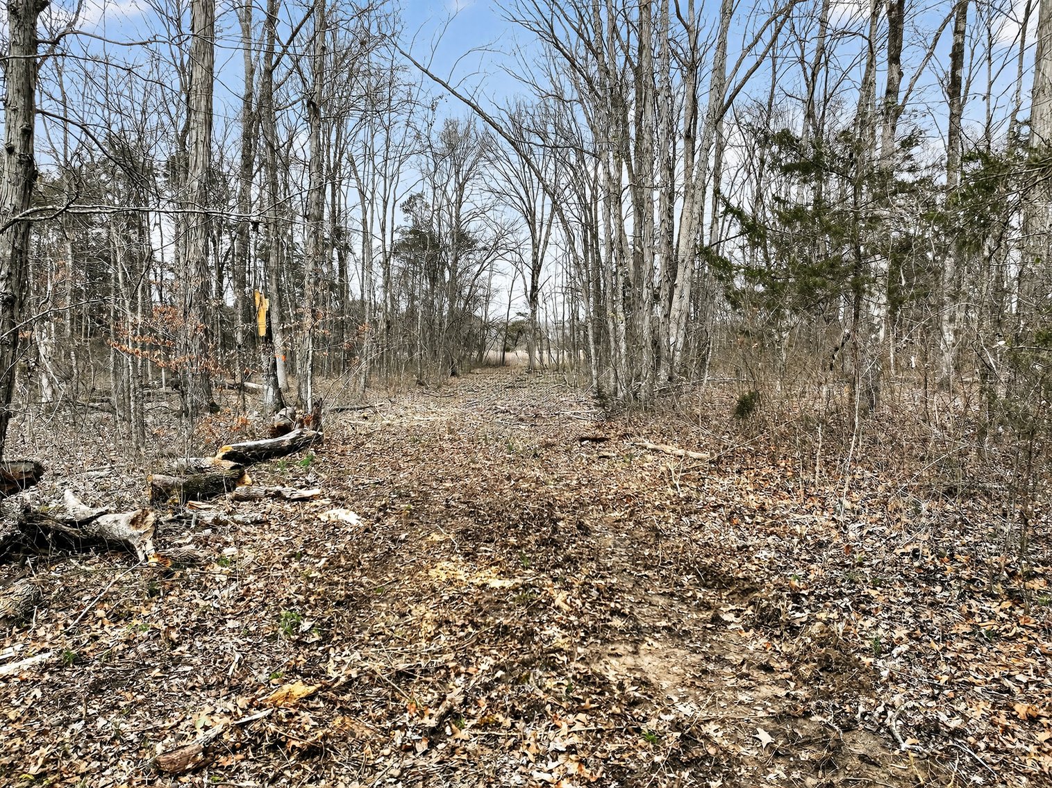 Image for 181 Sims Spring Road, Lewisburg