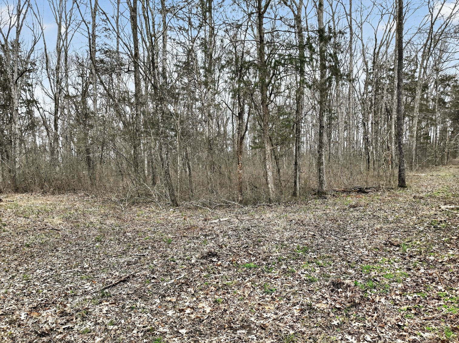 Image for 181 Sims Spring Road, Lewisburg