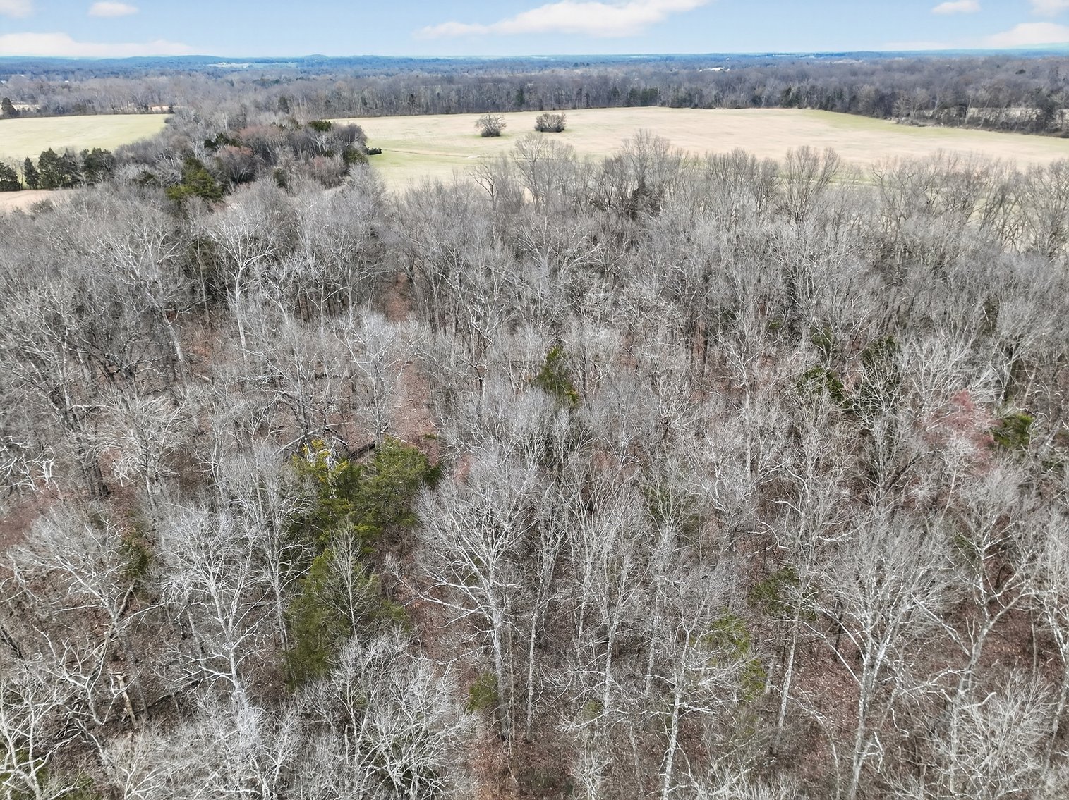 Image for 181 Sims Spring Road, Lewisburg