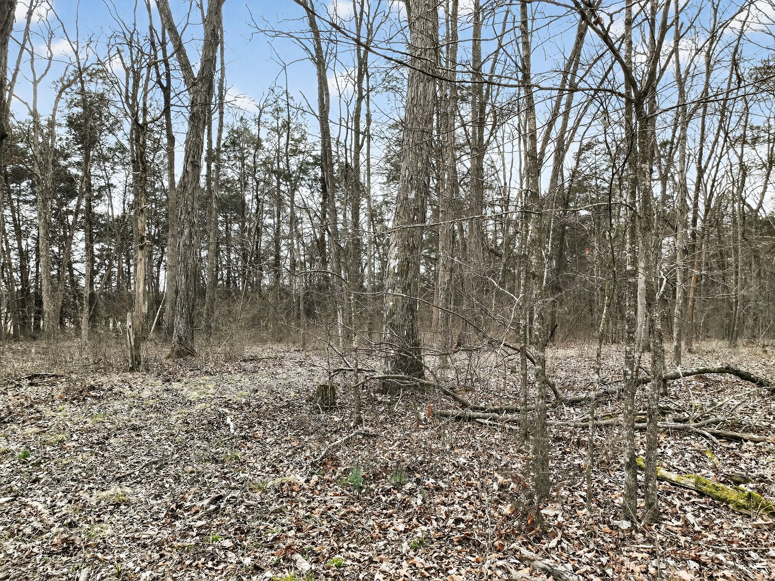 Image for 181 Sims Spring Road, Lewisburg