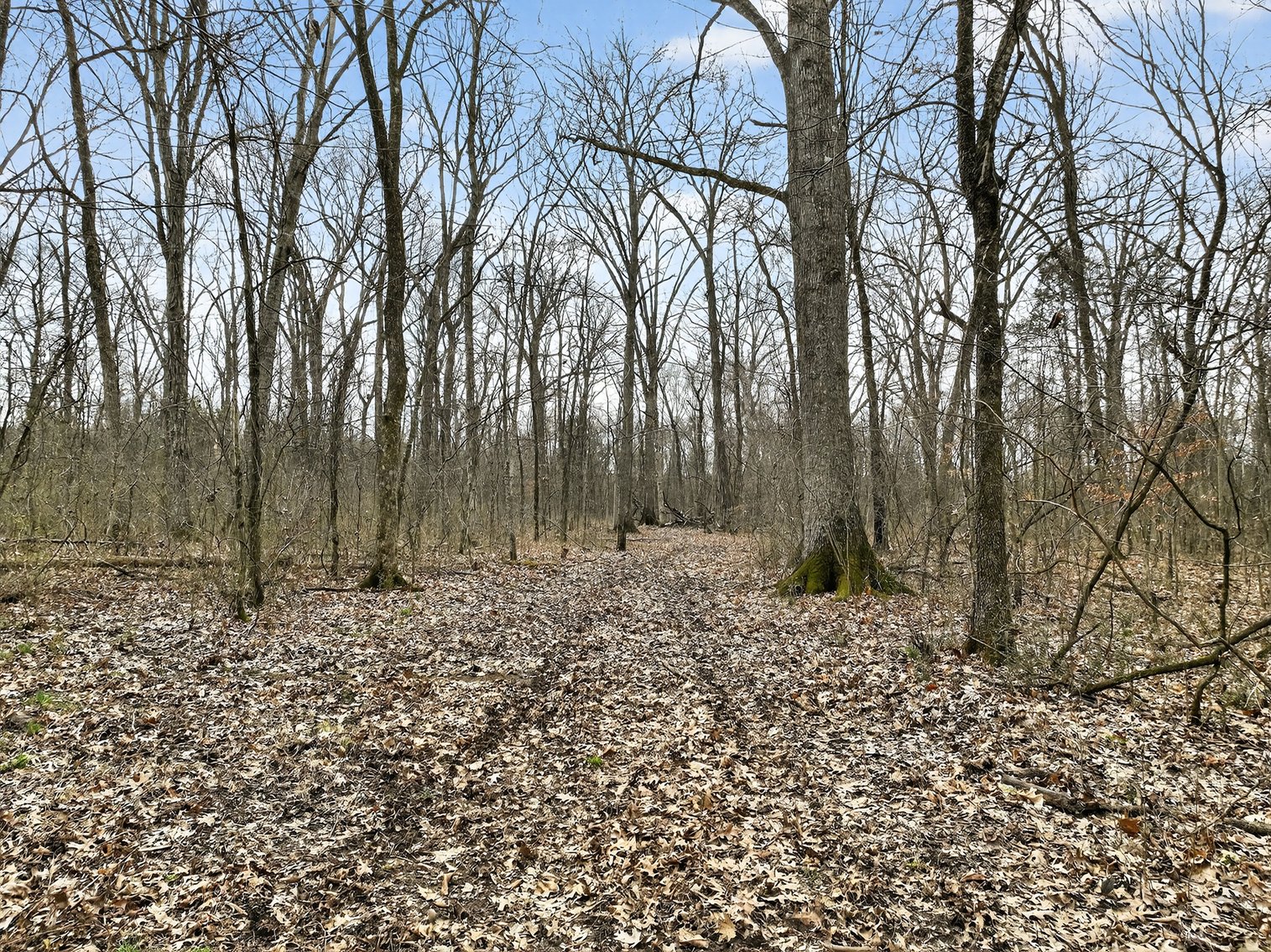 Image for 181 Sims Spring Road, Lewisburg