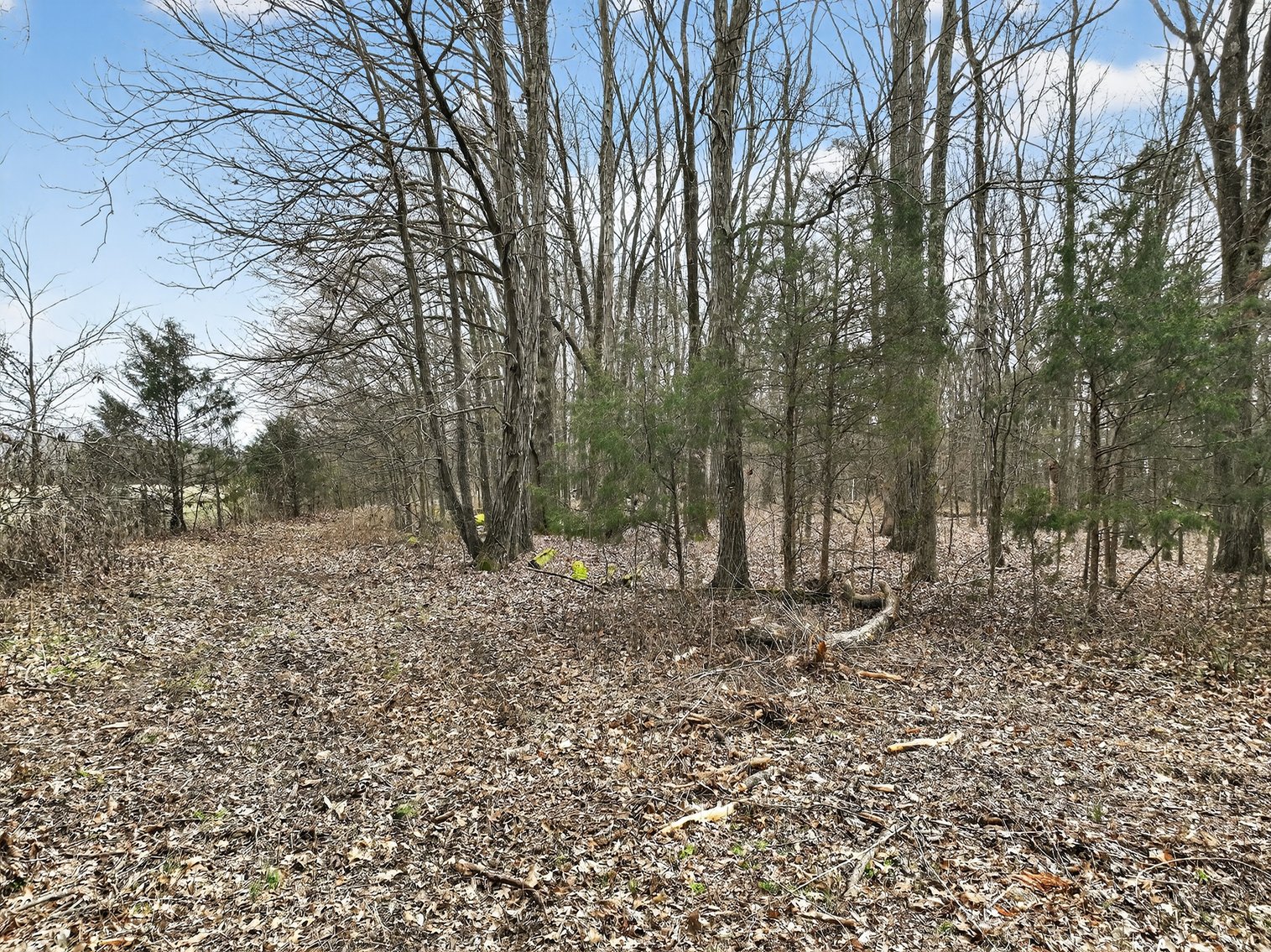 Image for 181 Sims Spring Road, Lewisburg