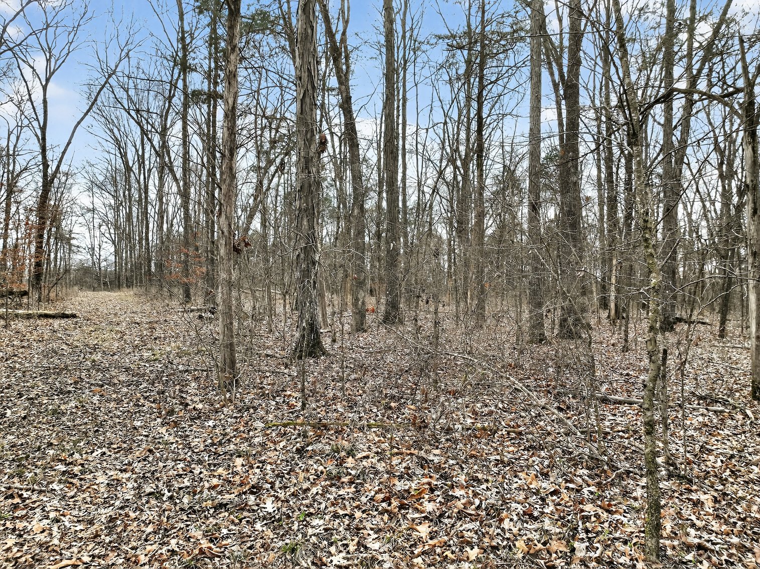 Image for 181 Sims Spring Road, Lewisburg