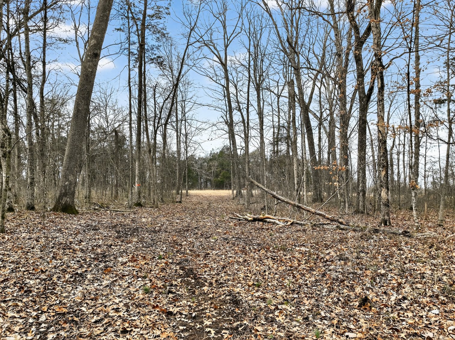 Image for 181 Sims Spring Road, Lewisburg