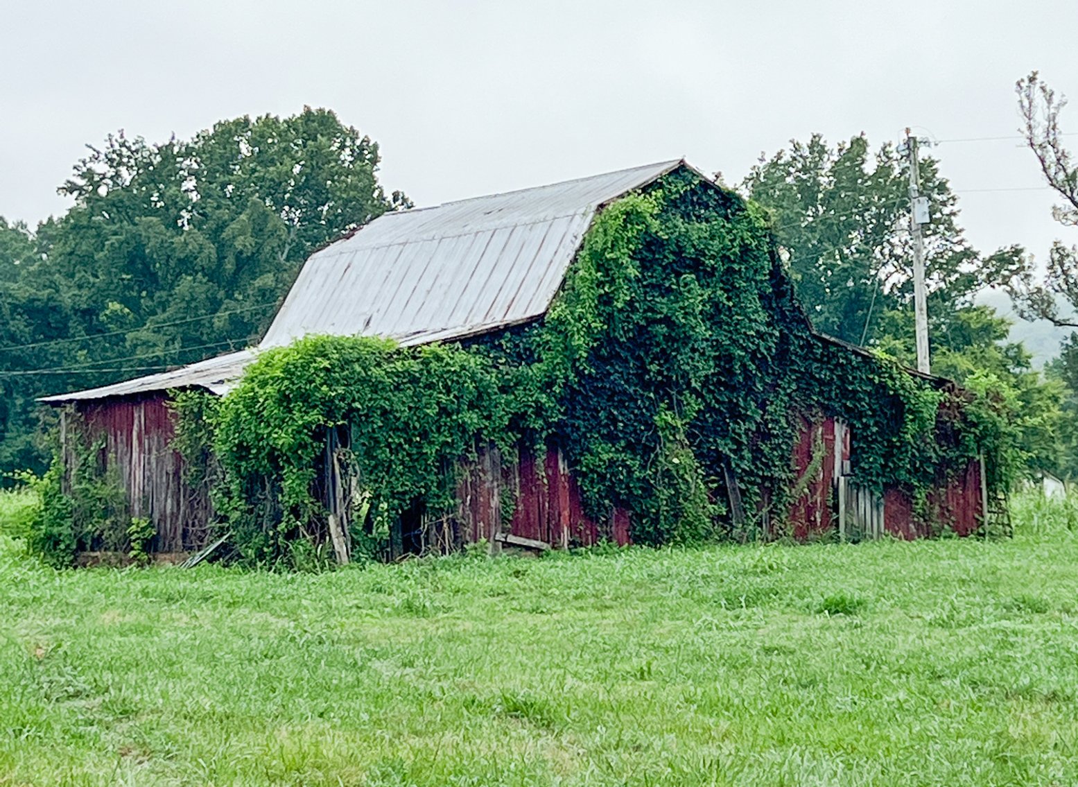 Image for 836 & 812 Spur Road, Decherd