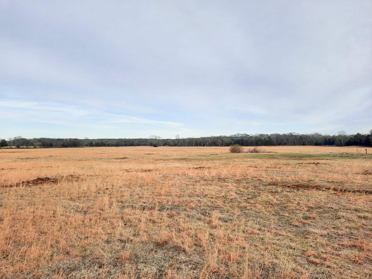 Image for 181 Sims Spring Road, Lewisburg