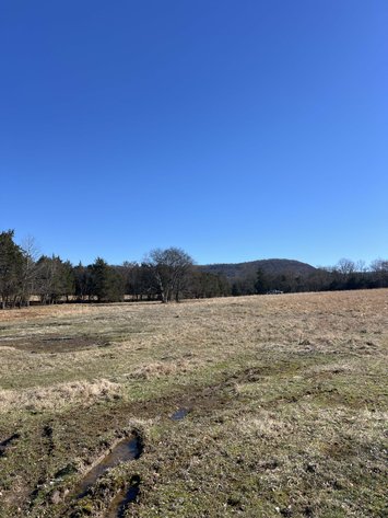 Image for Northcutt Road, Milton