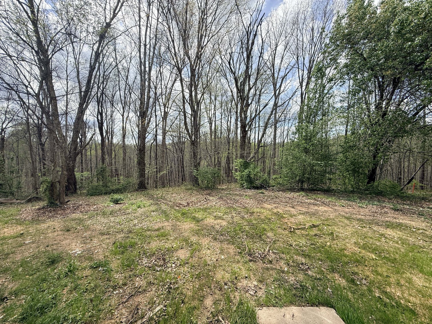 Image for 935 Sugar Tree Knob Rd, Liberty