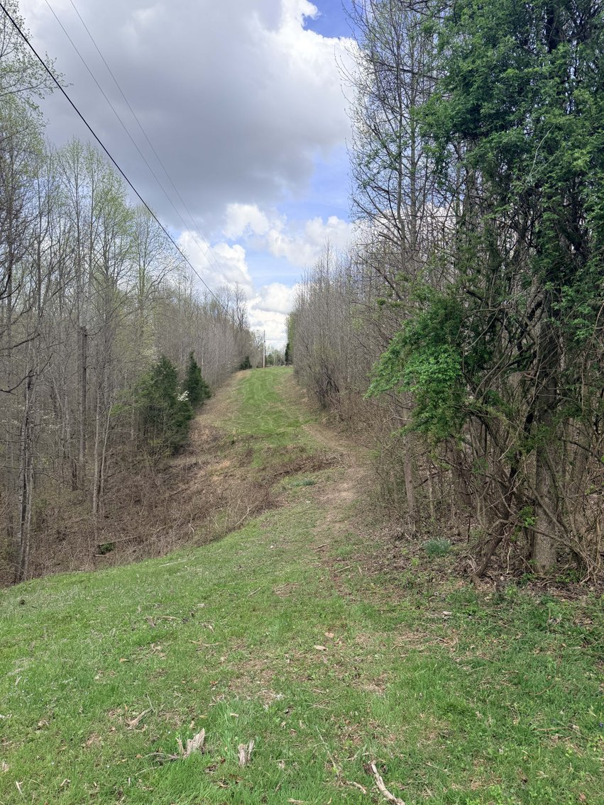 Image for 935 Sugar Tree Knob Rd, Liberty