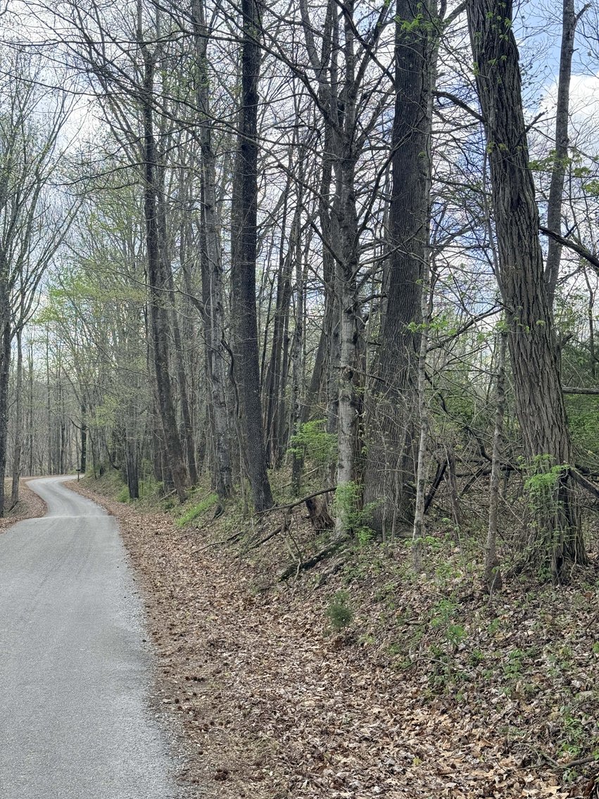 Image for 935 Sugar Tree Knob Rd, Liberty