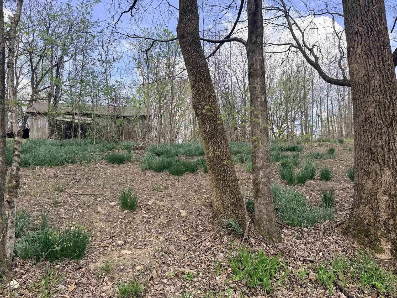 Image for 935 Sugar Tree Knob Rd, Liberty