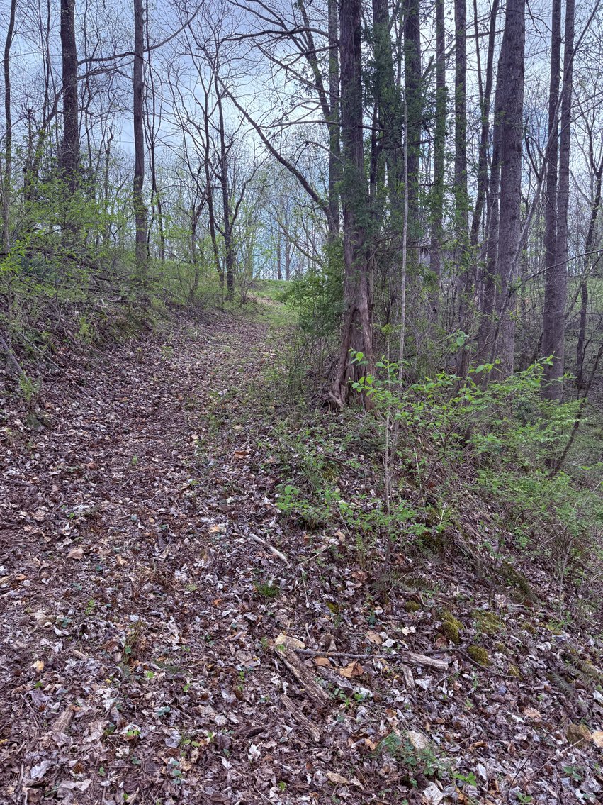 Image for 935 Sugar Tree Knob Rd, Liberty