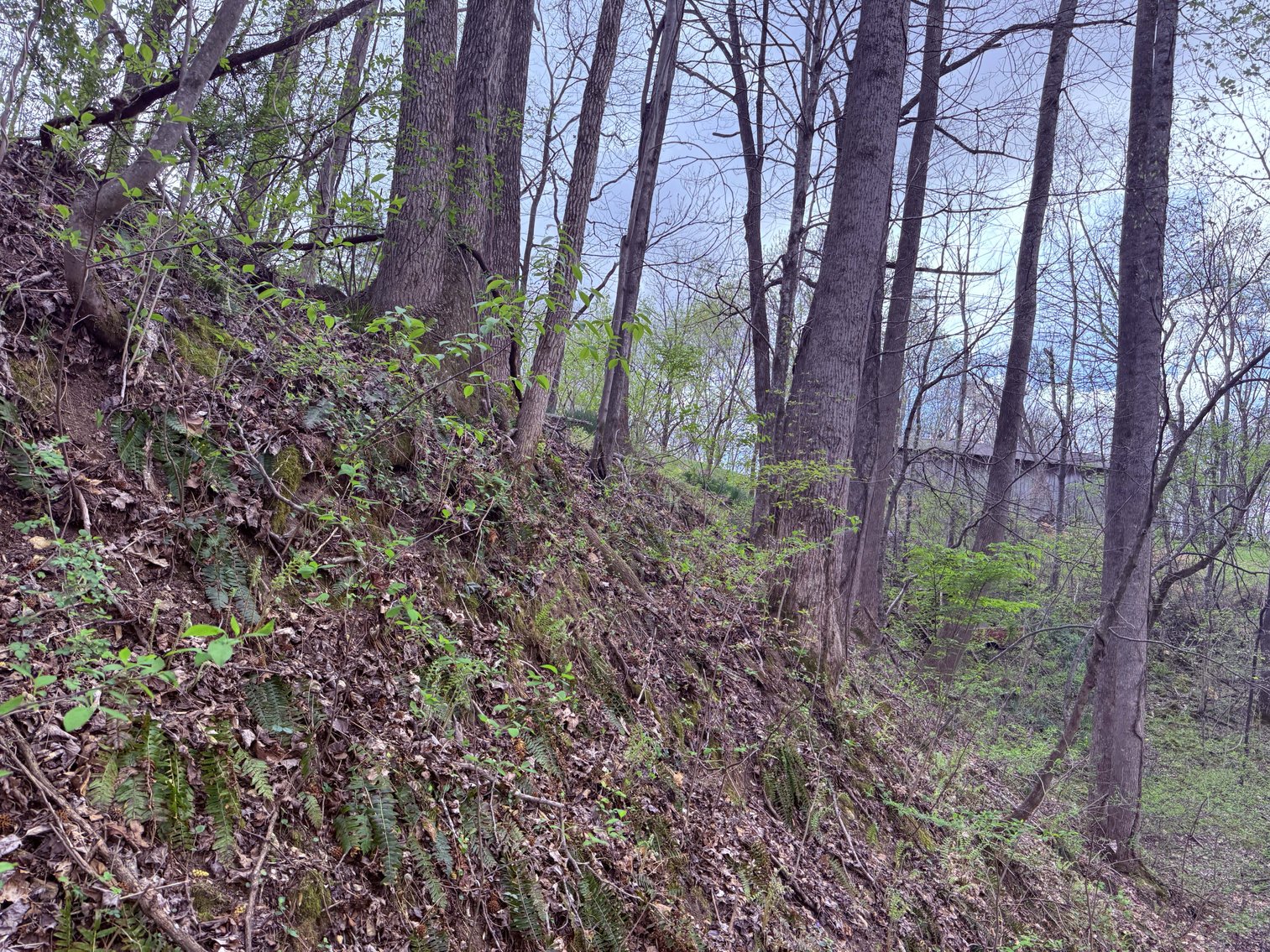 Image for 935 Sugar Tree Knob Rd, Liberty