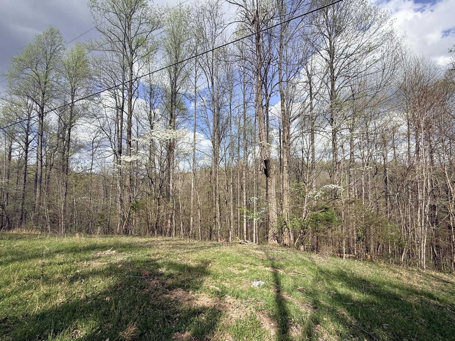 Image for 935 Sugar Tree Knob Rd, Liberty