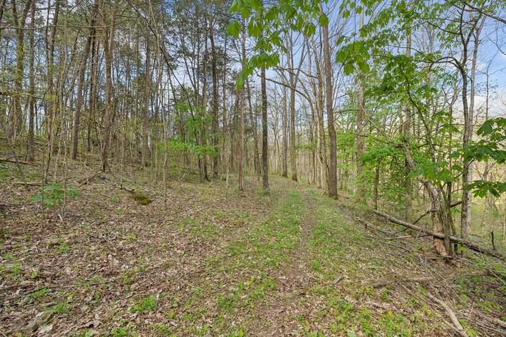 Image for Turney Road, Auburntown