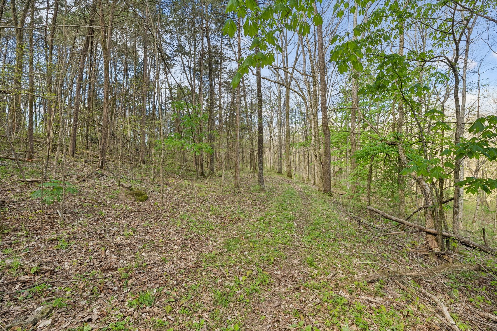 Image for Turney Road, Auburntown