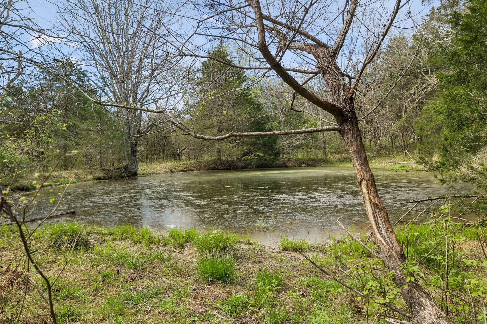 Image for Turney Road, Auburntown