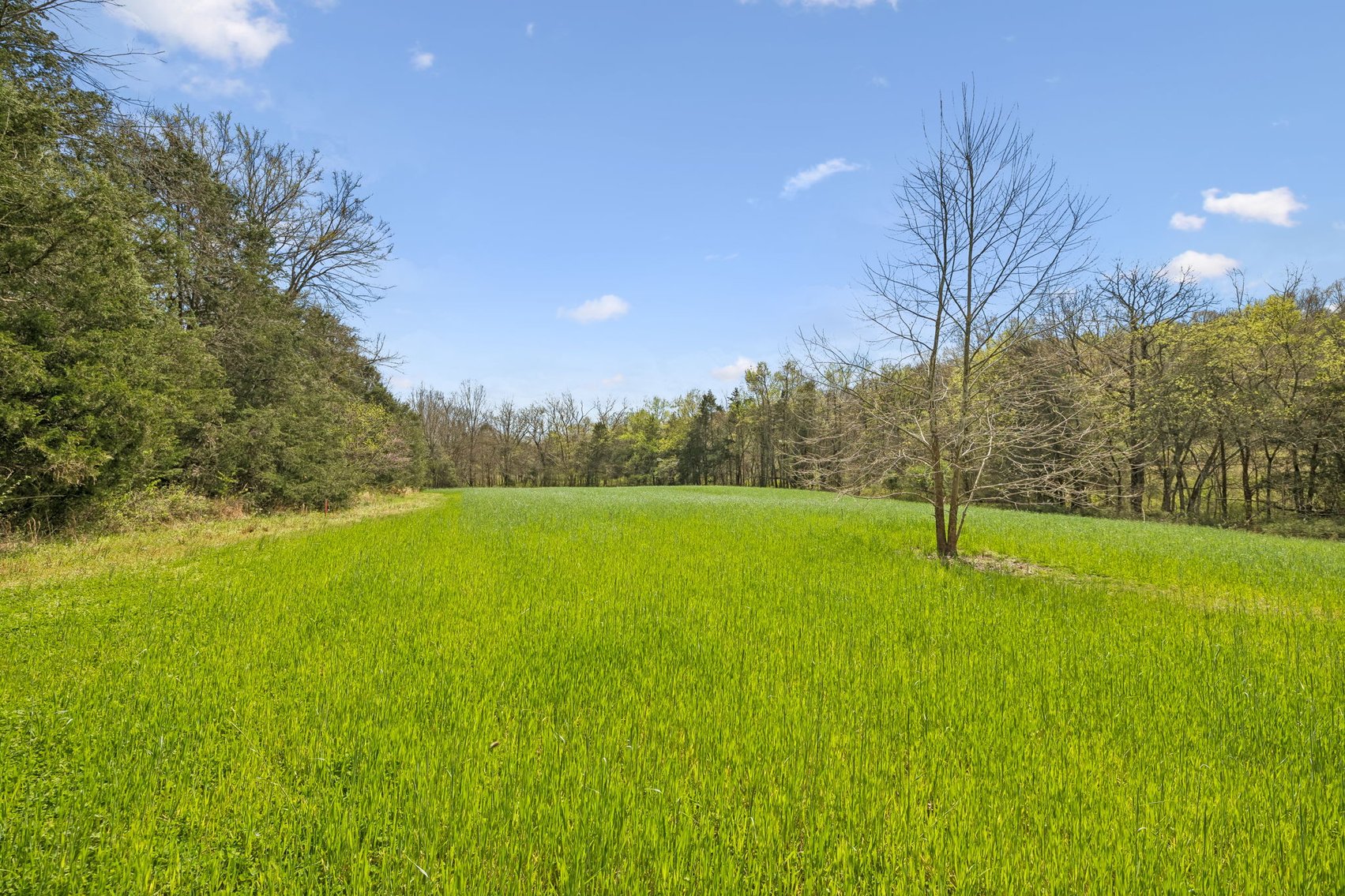 Image for Turney Road, Auburntown