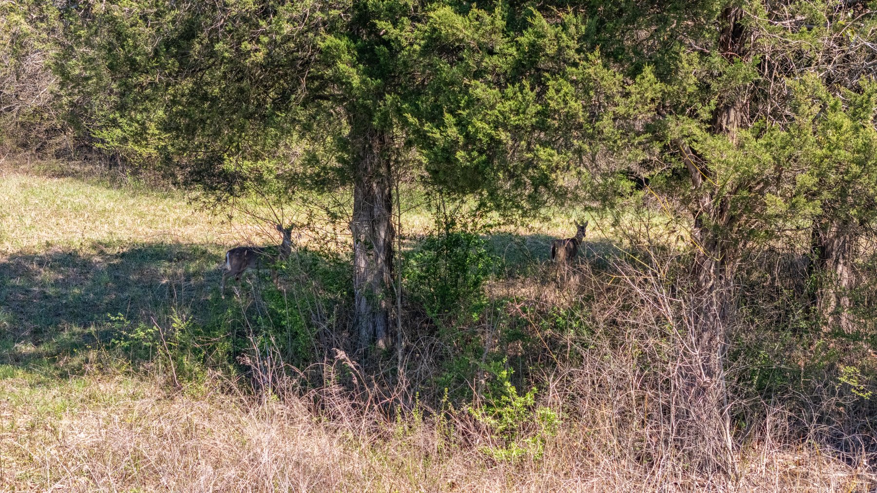 Image for 398 El Bethel Road, Shelbyville