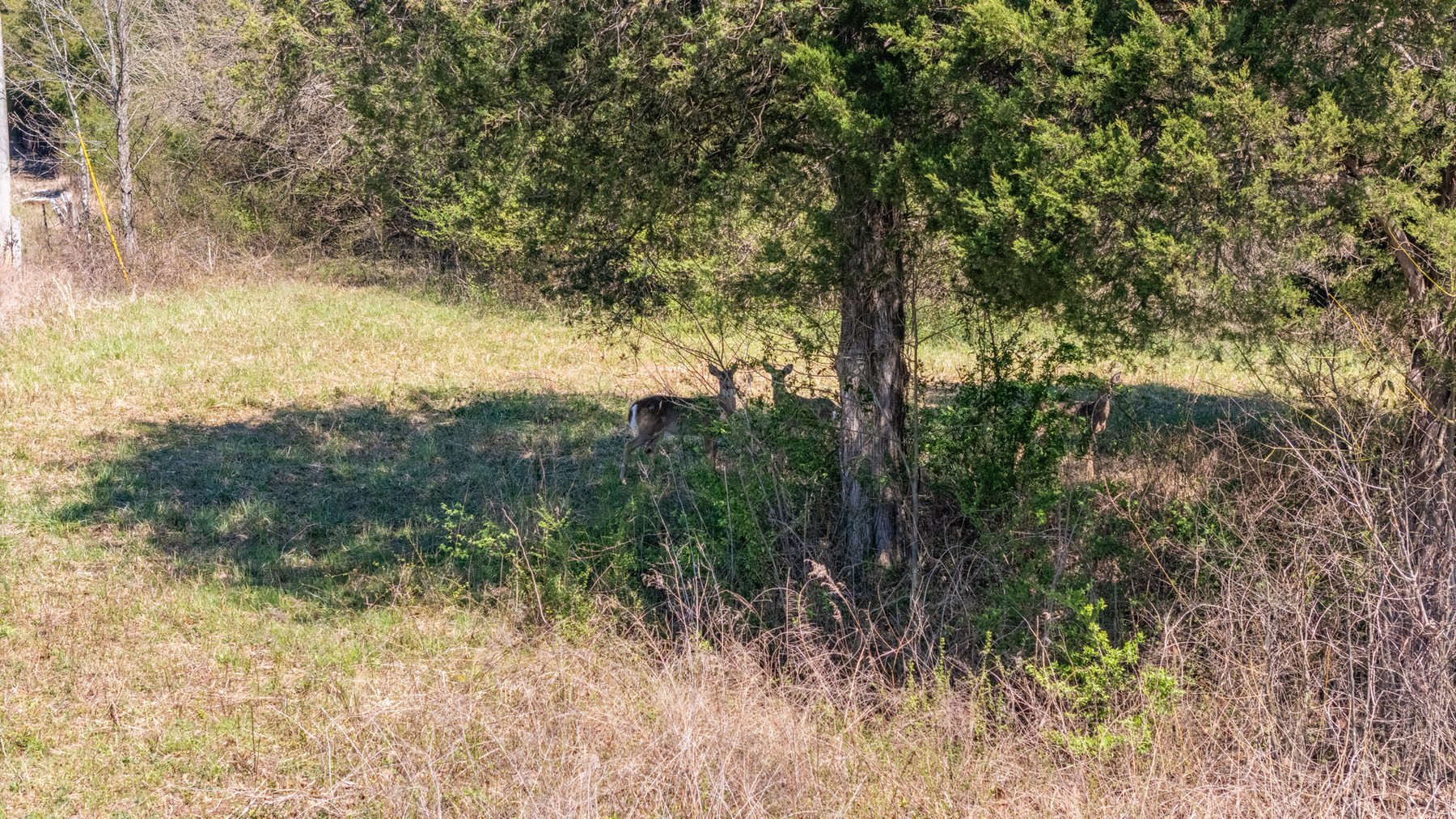 Image for 398 El Bethel Road, Shelbyville