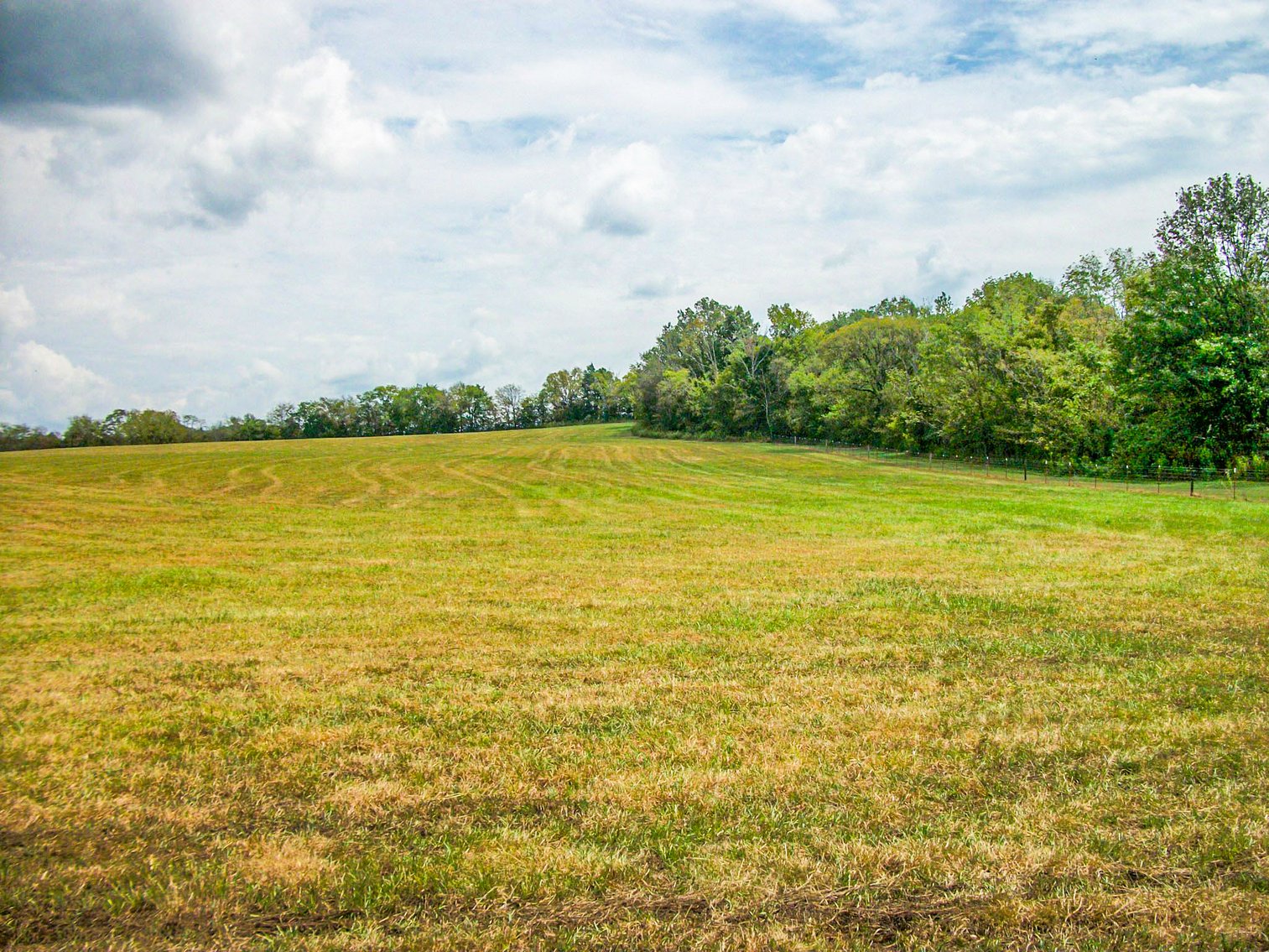 Image for Couch Lane, Bell Buckle