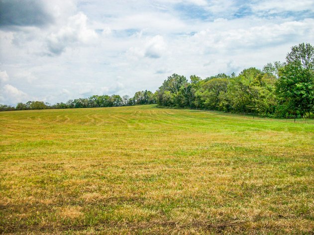 Image for Couch Lane, Bell Buckle