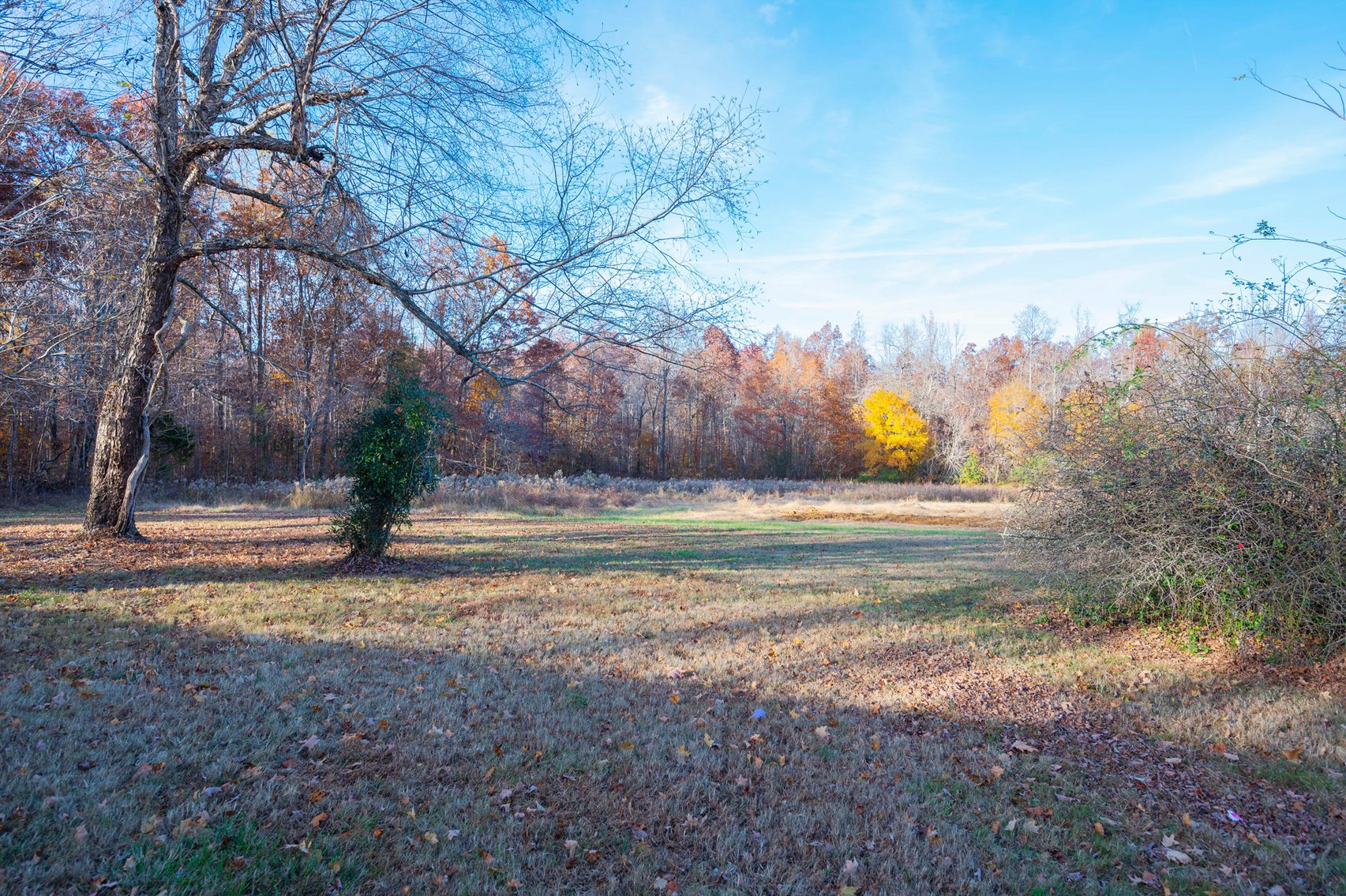 Image for 3137 Iconium Road, Woodbury