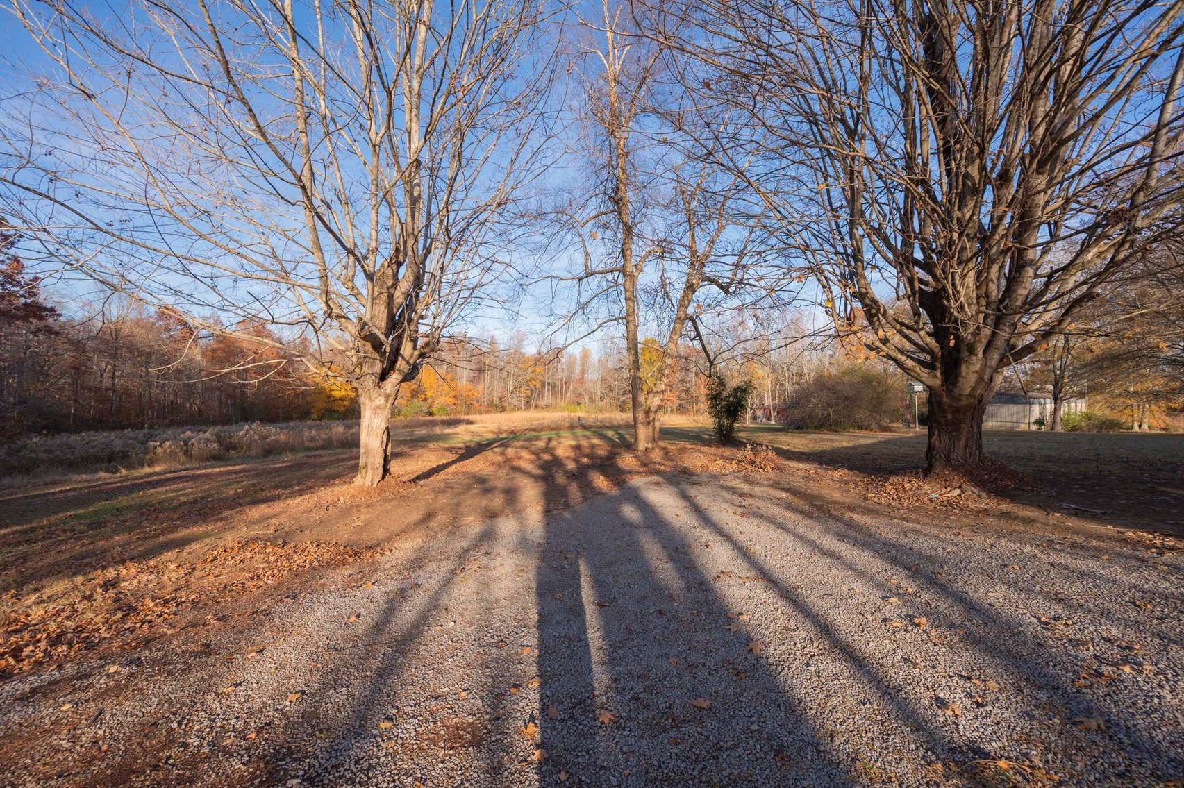 Image for 3137 Iconium Road, Woodbury