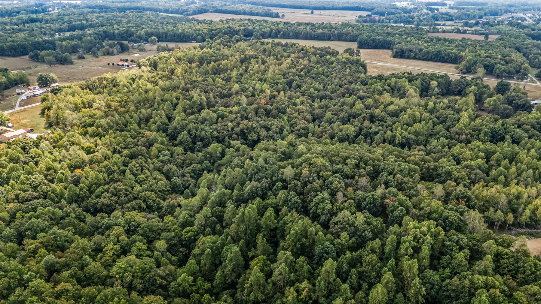 Image for 2585 Iconium Road, Woodbury