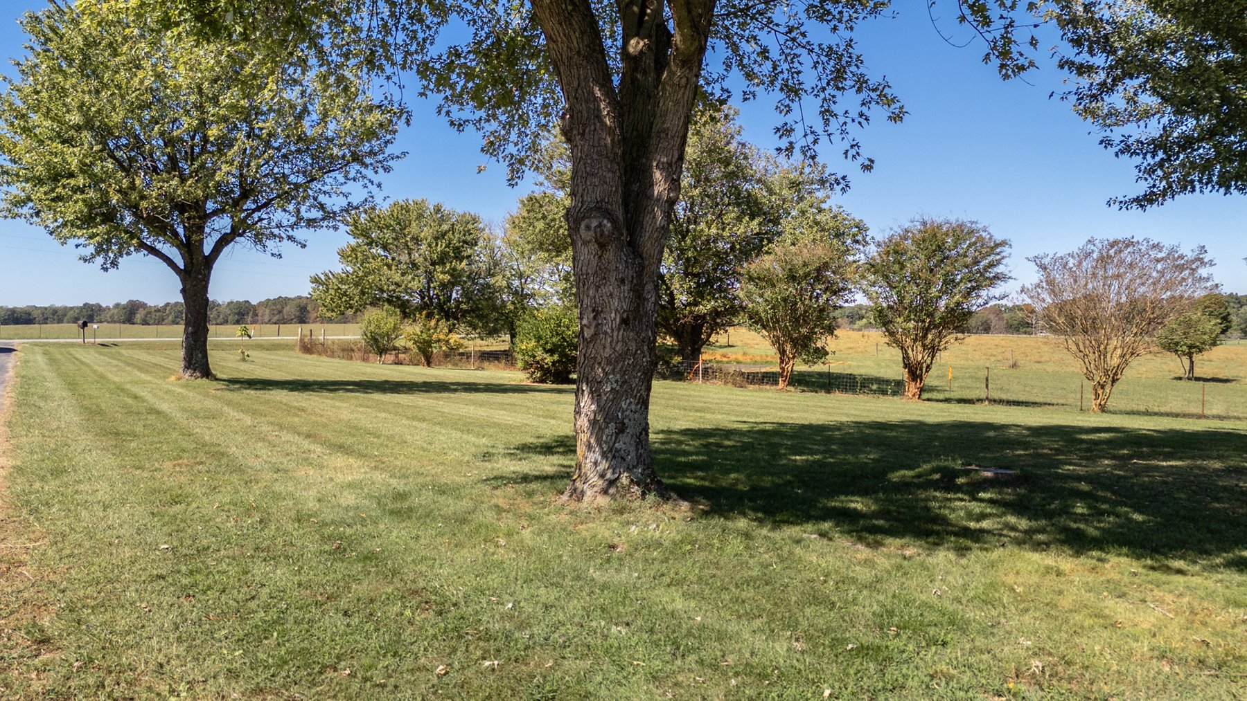 Image for 1201 MG England Road, Manchester