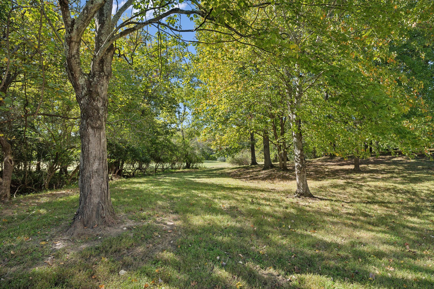 Image for 2540 Antrim Circle, Columbia