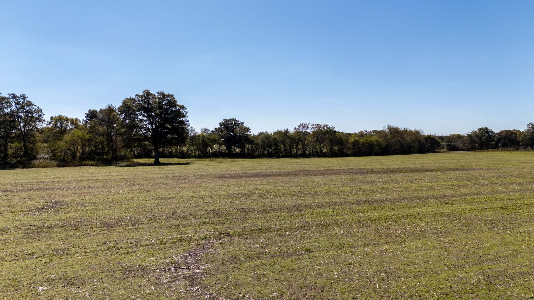 Image for 2917 Old McMinnville Hwy, Woodbury