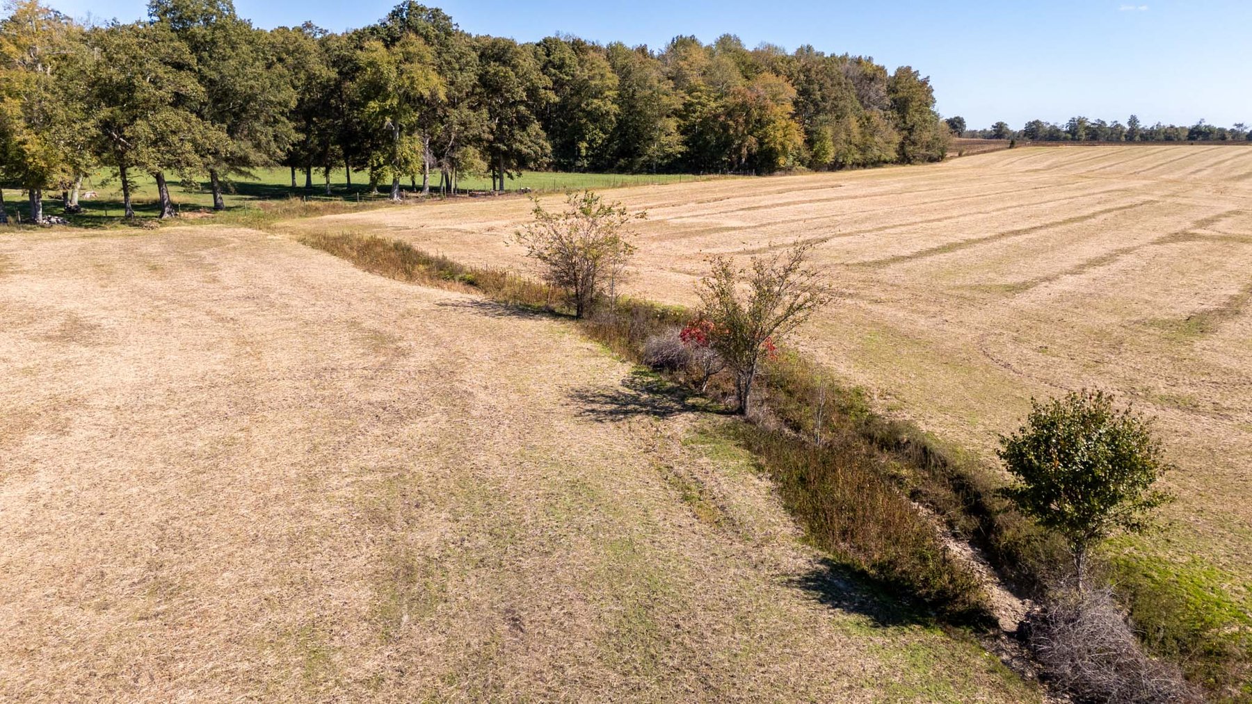 Image for 2917 Old McMinnville Hwy, Woodbury