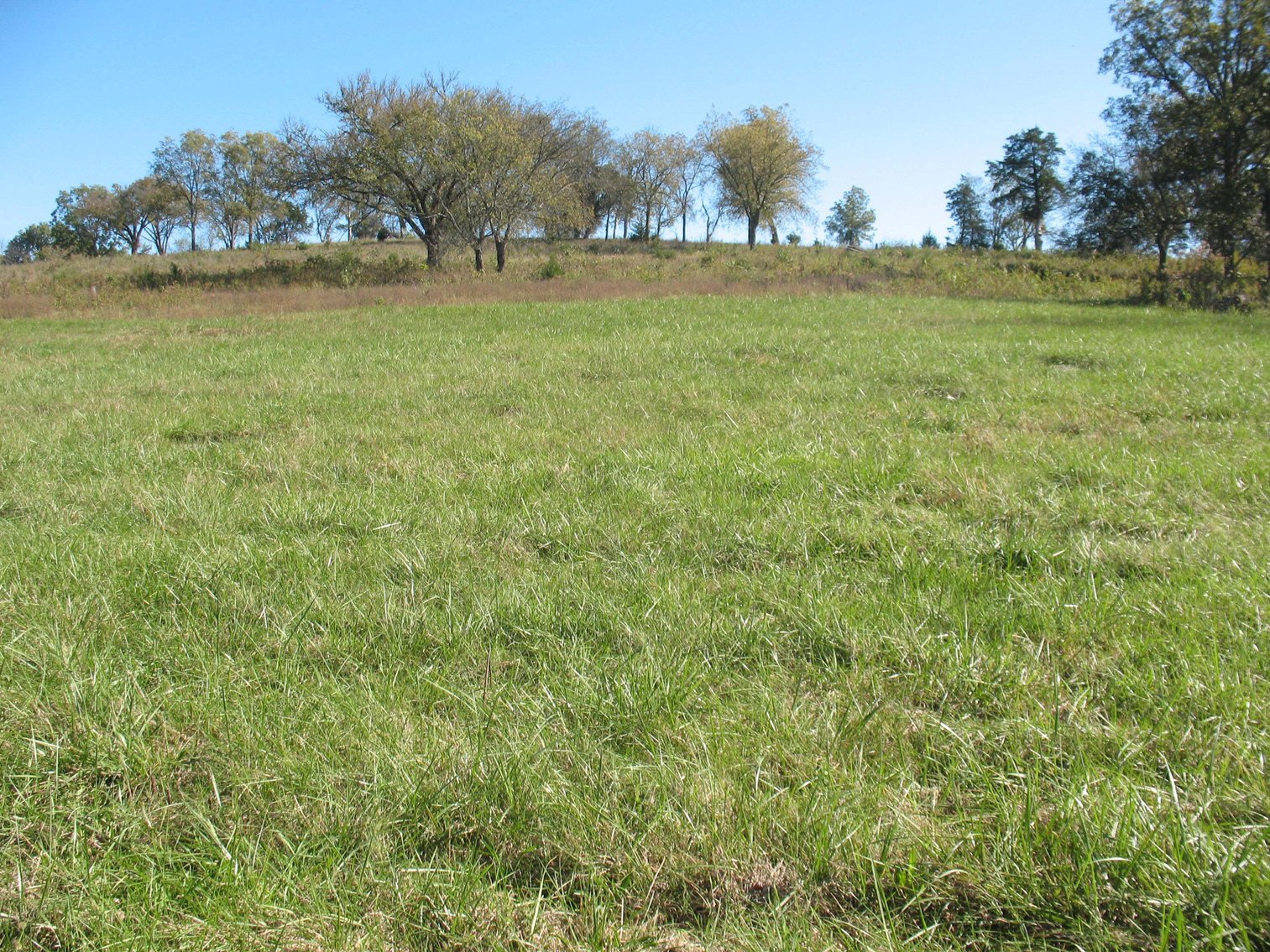 Image for Murfreesboro Rd & Mile Valley Rd, Woodbury