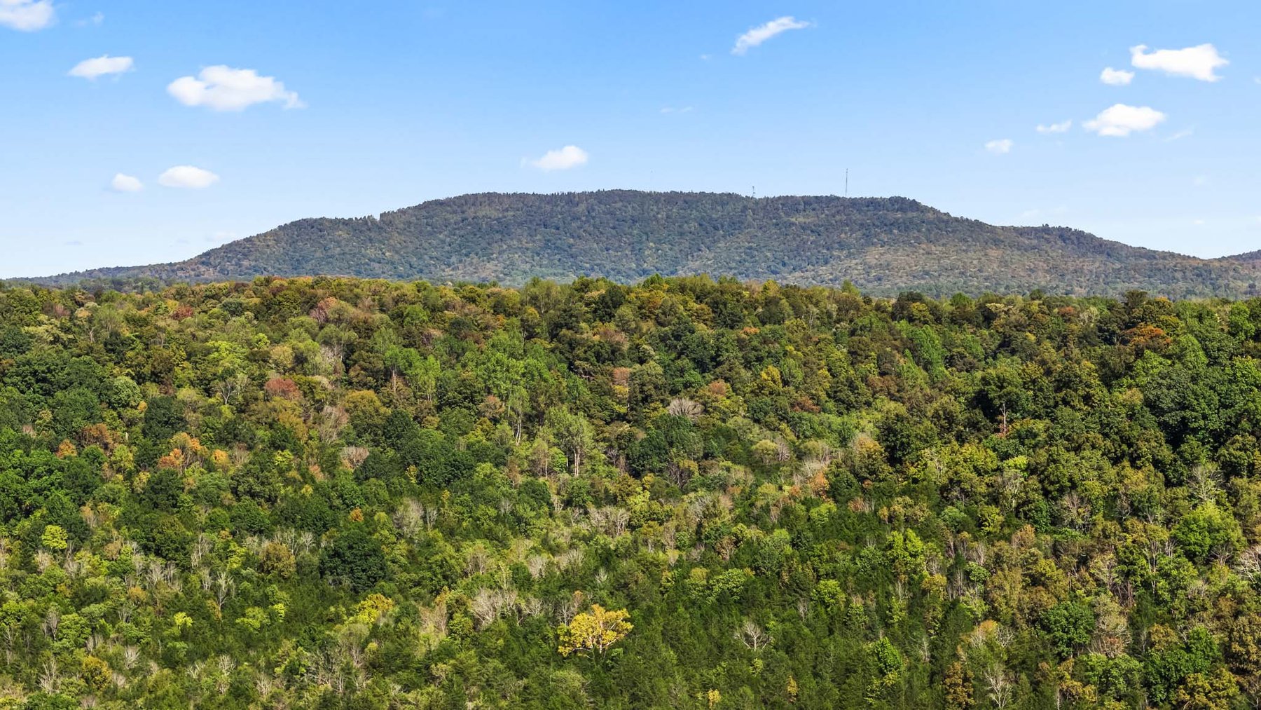 Image for 369 Adams Ridge Lane, Woodbury