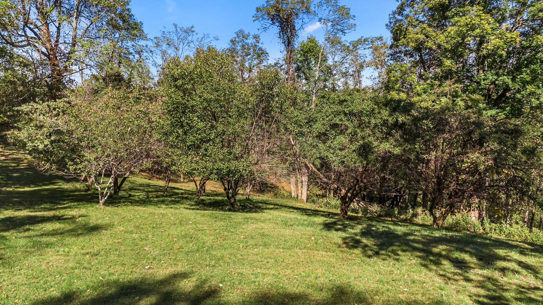 Image for 369 Adams Ridge Lane, Woodbury