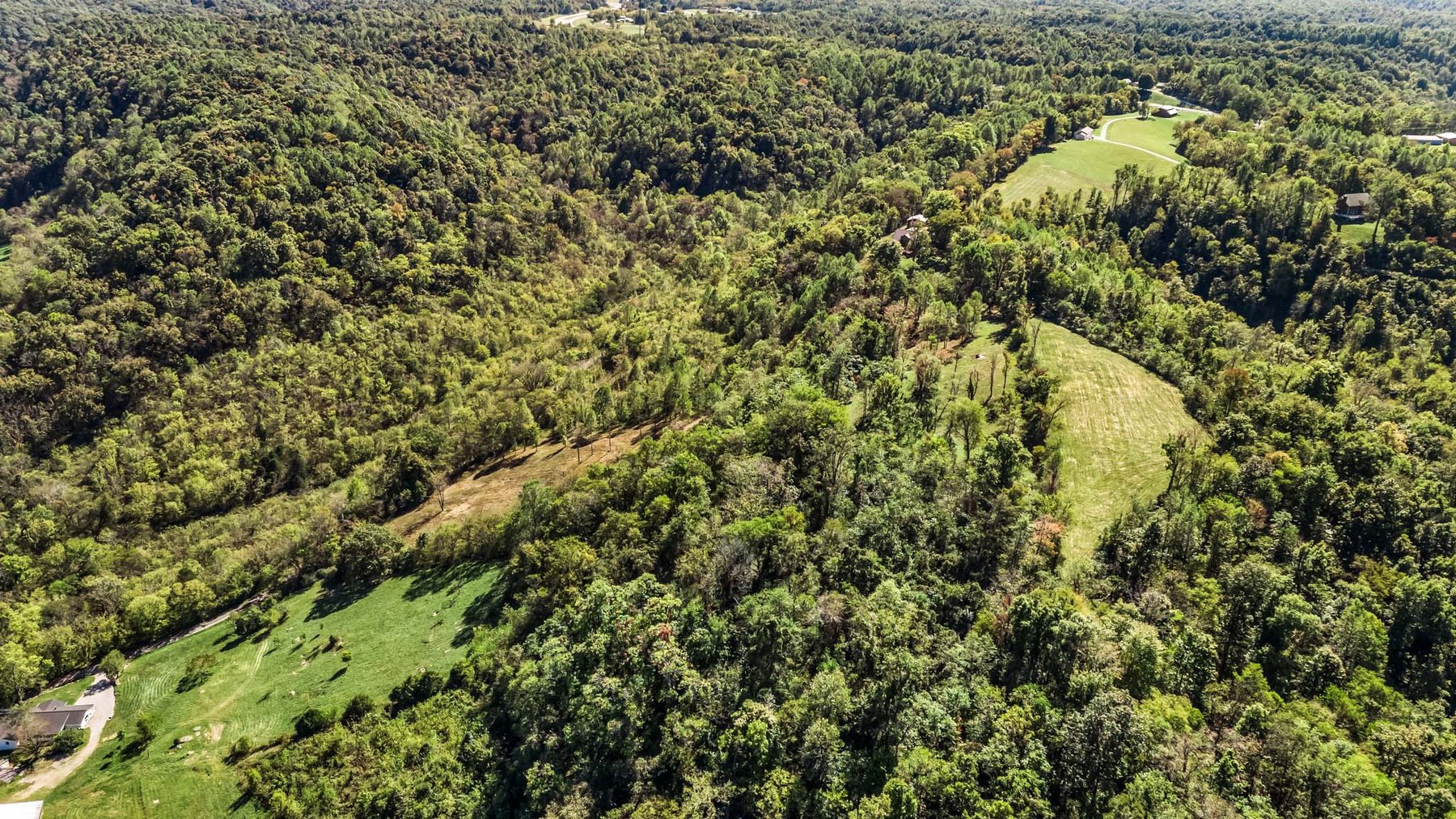 Image for 369 Adams Ridge Lane, Woodbury