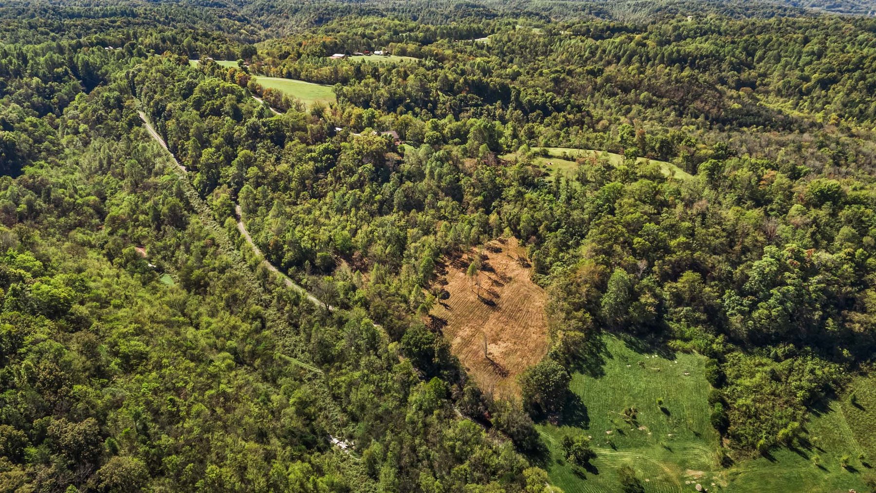 Image for 369 Adams Ridge Lane, Woodbury