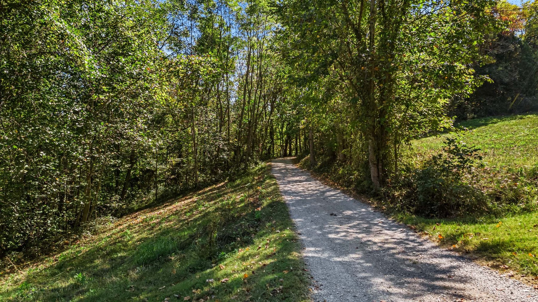 Image for 369 Adams Ridge Lane, Woodbury