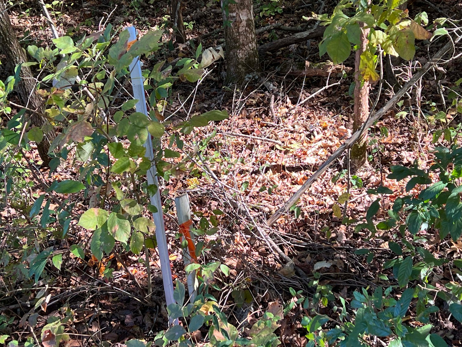 Image for 2643 Hill Road, Eagleville, TN