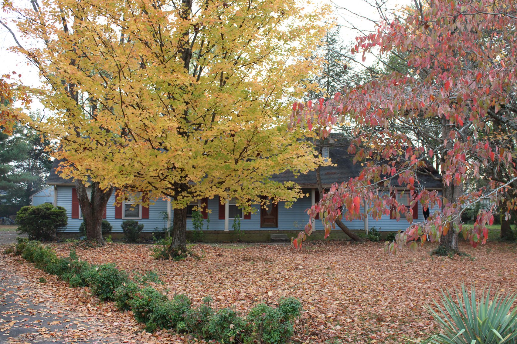 Image for 3168 Holiday Drive, Murfreesboro