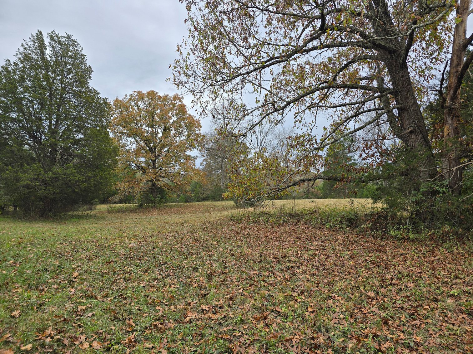 Image for 360 Bartons Creek Road, Lebanon