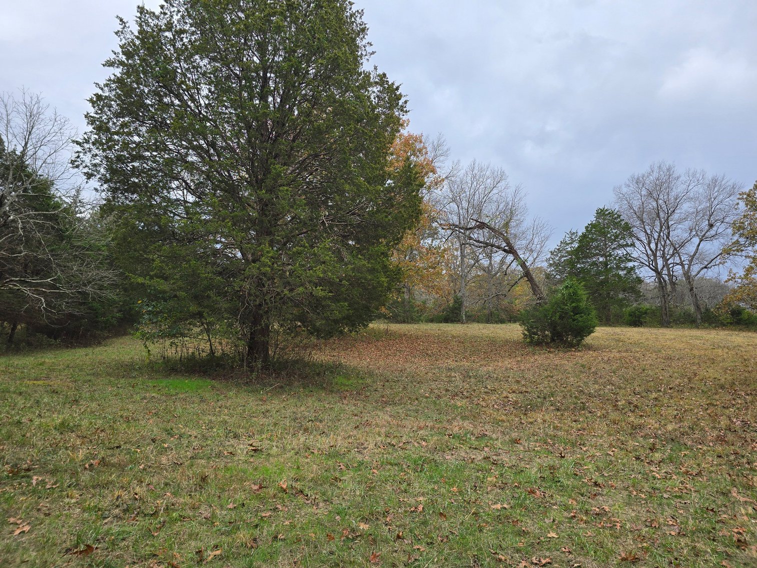 Image for 360 Bartons Creek Road, Lebanon