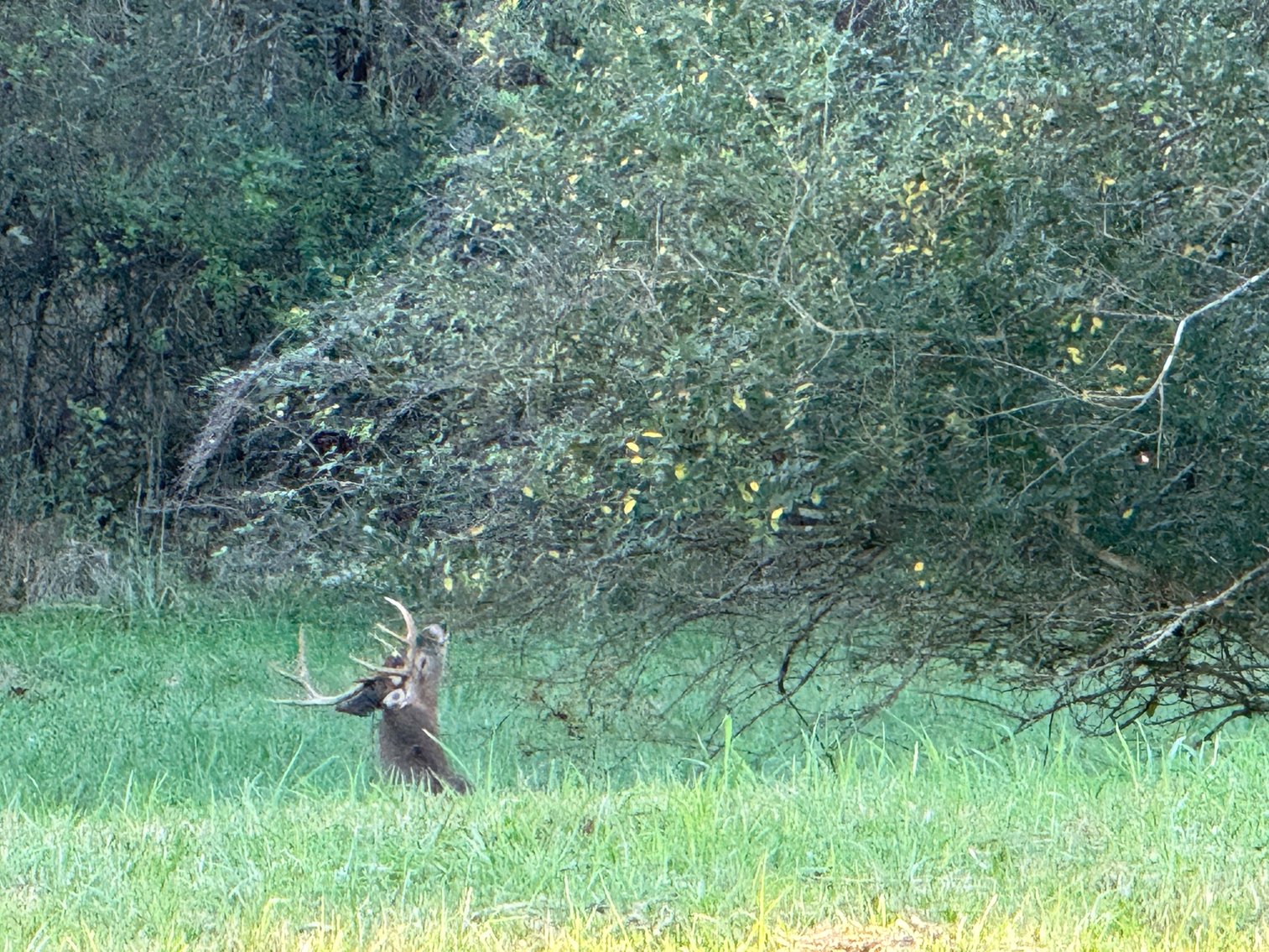 Image for 360 Bartons Creek Road, Lebanon